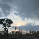 [W.13 동작대교 야경 스냅] 원본 751장 싹 마음에 드는!!♥ 사진만 봐도 행복한 표현스냅 후기📸🌃🌙🪽🖤