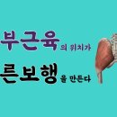 [ 마름모코어 시즌 2-38 ] 저항으로 만들어진 둔부근의 위치는 바른 정렬과 보행을 만든다 / 둔부근 강화 운동 실전편 이미지