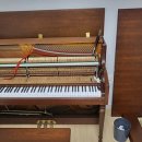 영창상회 이미지