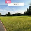 [내돈내산] 인천그랜드CC 후기 | 골프 초보가 연습하기 좋은 수도권 골프장