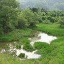 곡성 월봉 이미지