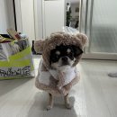 올리비아스테이 | [전남 여수]올리비아스테이-바다가 보이는 독채펜션(에어비엔비,가족여행,반려동물동반)