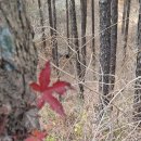 파주삼릉 이미지