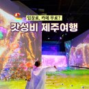 세븐일레븐 제주노형파크점 | 제주투어패스 여행코스 제주워터월드 산양큰엉곶 노형수퍼마켙
