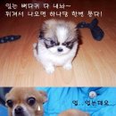 없음 이미지