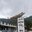 용바위들2 | 가는 길, 인제에서 찐 발견! 황태구이 맛집 &#34;용바위식당&#34; 후기 🍚 + 매바위 인공폭포 산책까지 완벽 코스!