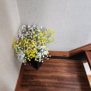 대덕면사무소 주차장 이미지