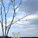 호텔40계단 | 강릉 태교여행 숙소 추천- 스카이베이 호텔 경포 후기