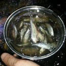 해찬솔 팬션 이미지