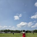 장생포고래박물관 | 경주,울산여행코스 추천: 머큐어 울산 /첨성대/연날리기/장생포고래박물관 후기