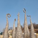 약동의 공간 이미지