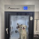 닥터장 동물의료센터 이미지