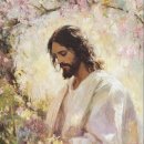 작은새 | 39. 새찬송가 1005장 &#34;작은 새 돌보신 주님 His Eye Is on the Sparrow&#34; 작사·작곡 이야기