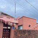 아레나로하 | [Jeju] 제주 아레나로하 / 제주 독채 / 제주 감성 숙소 추천 / 제주 협재 숙소