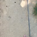 신안평거녹지 이미지