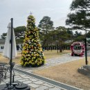 THE 오래 | 남양주 대형카페 THE377 베이커리카페 후기 | 베이커리·식물원까지 있는 서울근교 카페