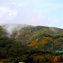 구룡령 옛길 이미지