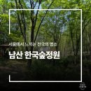 남산화장품 | [남산 한국숲정원 후기] 서울 가볼만한 곳 | 맨발걷기 가능한 산책로, 주차장 정보 공유