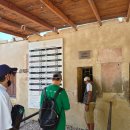 메디넷 | 이집트 여행) 룩소르 서안투어 (프라이빗 택시 기사 추천)