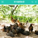 보늬숲밤농장 이미지