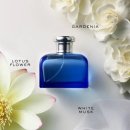 블루씨드(Blue Seed) | 랄프로렌 블루 포 우먼 향수 후기 한국은 단종이라 더 특별한 플로럴 향