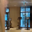 호텔 더 보타닉 세운 명동(B동) 이미지