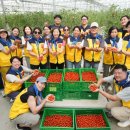 정당농장 이미지