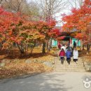 예산-71 이미지