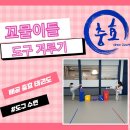 배곧 충효 태권도 이미지