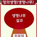 나무와창 이미지