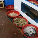 진교중앙길 이미지