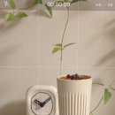 에스이피코리아 이미지