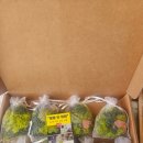 성심맹아원 이미지