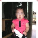 진아다실 이미지