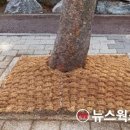 분당로 이미지