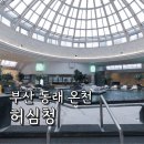 청자탕 | 부산 허심청 온천 가격 이용방법 및 방문 후기