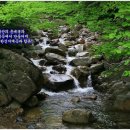 고바우타이어 이미지