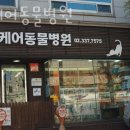웰케어동물병원 | 마포구 서교동 동물병원 웰케어동물병원 진료시간 접근성 이용후기