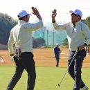 사파동220 이미지