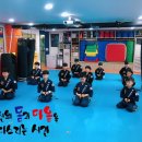 대성 합기도 이미지