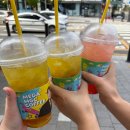 만남 Stay | 스무 살 펜타포트와의 첫 만남