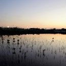 갯골생태공원 이미지