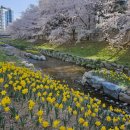 떡 위에 꽃을 피우는 떡공예 | 깜짝 휴일 꾸리기 : 울산에서 할 게 있냐 물으신다면?