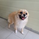 쌍용사거리 이미지