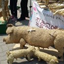 어음태양광발전소 이미지