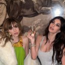 데이지하우스 이미지