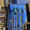 탕화쿵푸마라탕속초중앙점 이미지