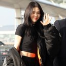 싱그러운 이미지