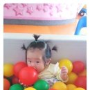 거북이자동차나라 이미지