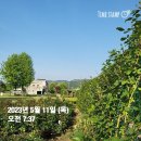 장자호수공원 장미터널 이미지